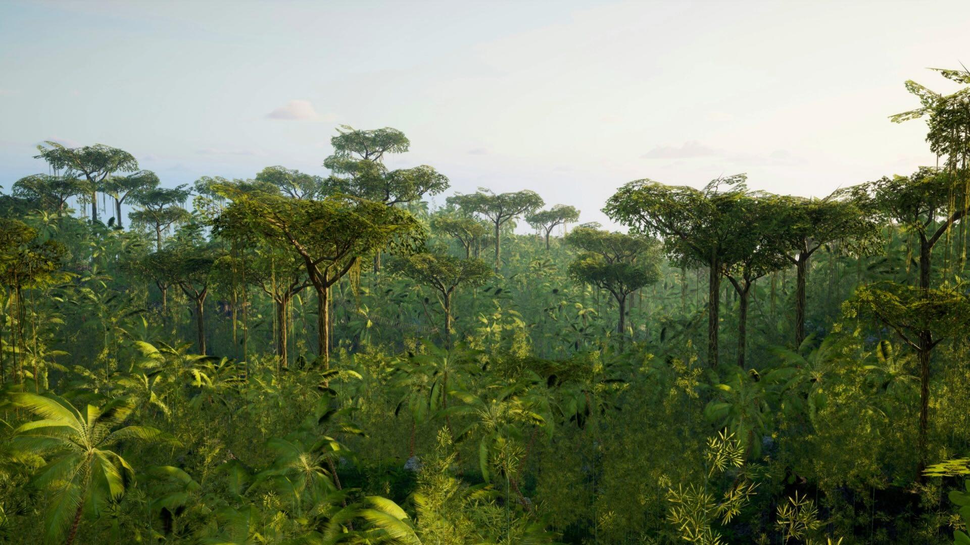 African forest landscape. 