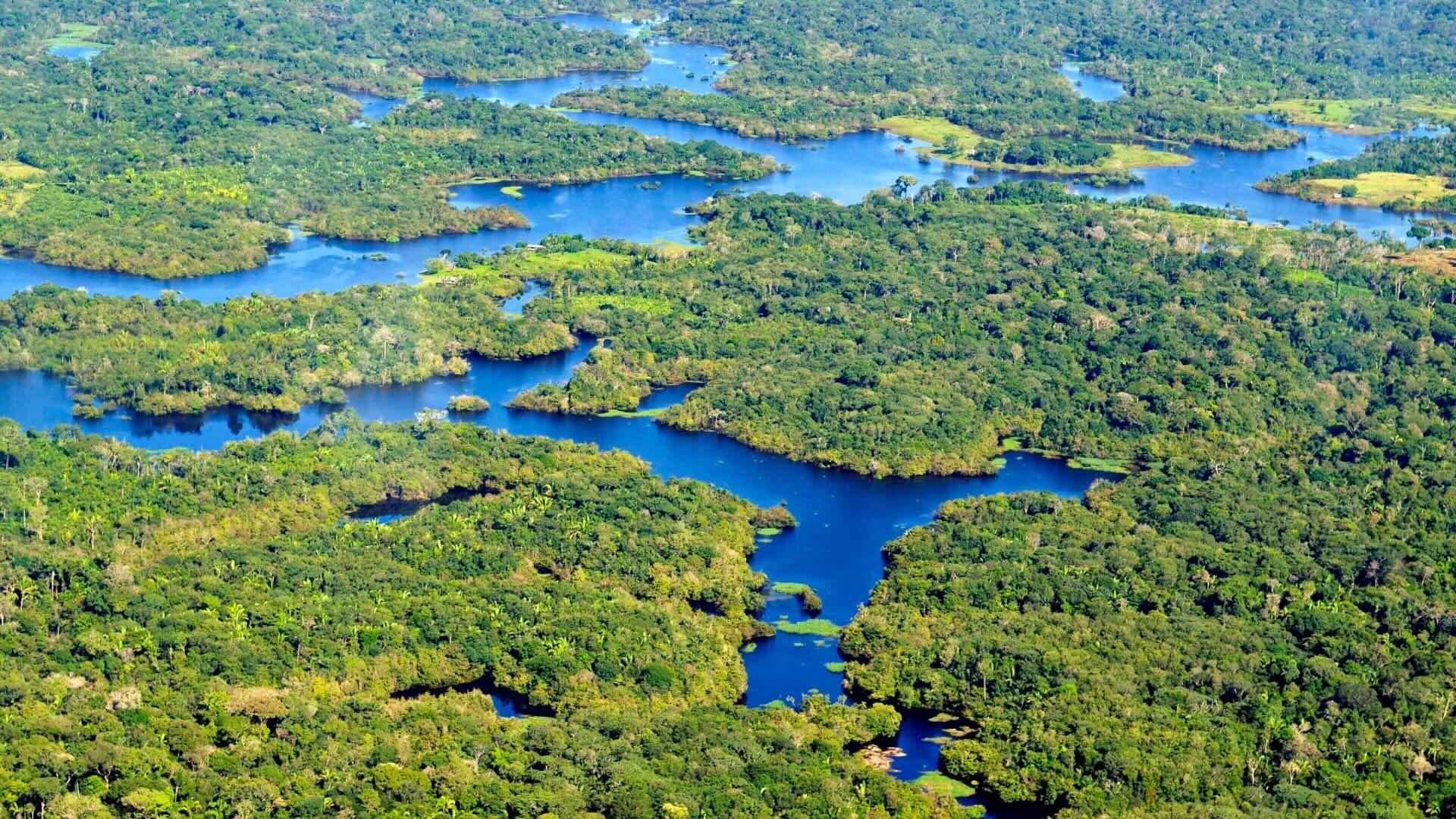 Aerial view of Amazon rainforest. 
