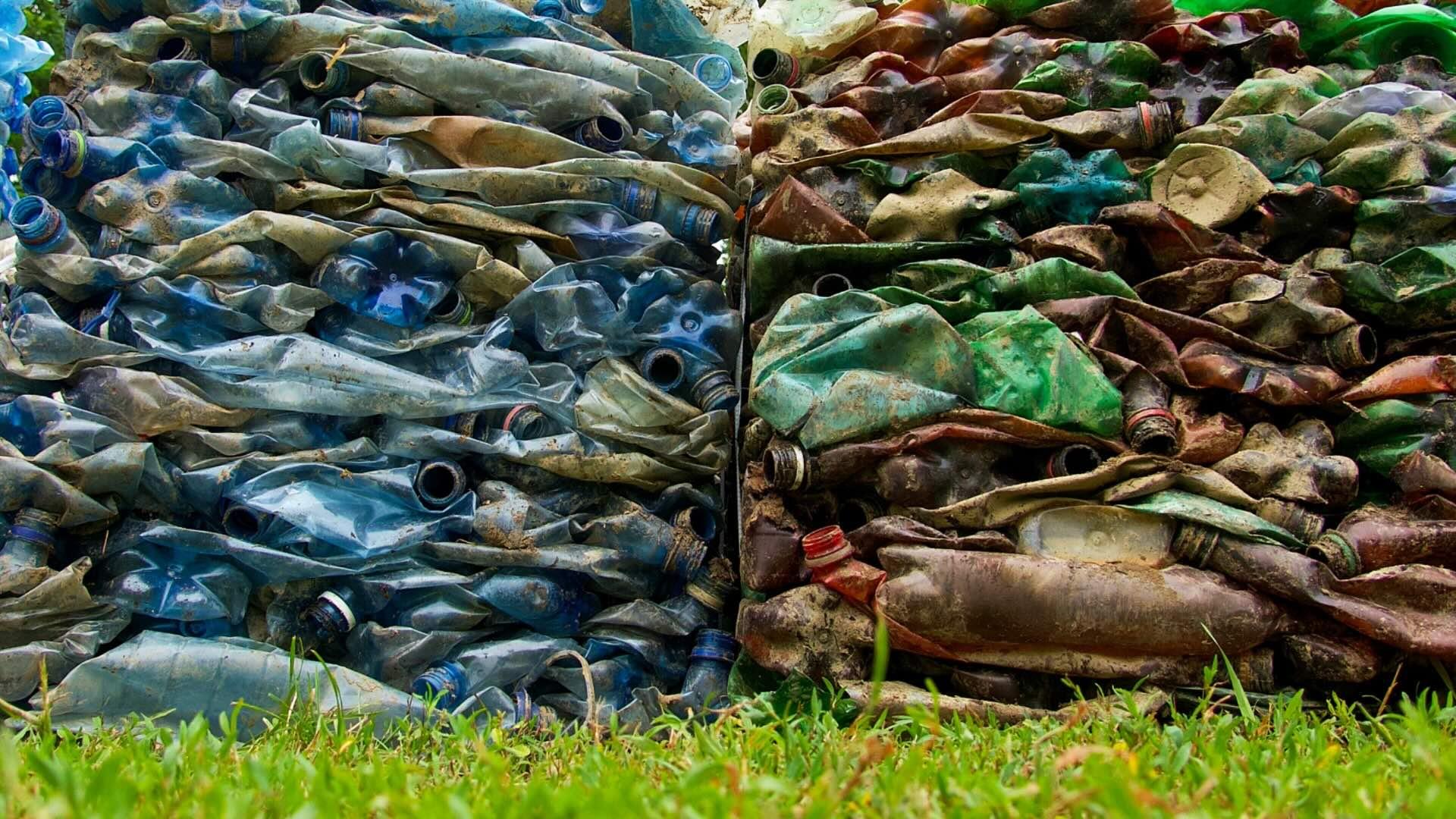 Plastic (PET) bottles collected from the river Tisza.