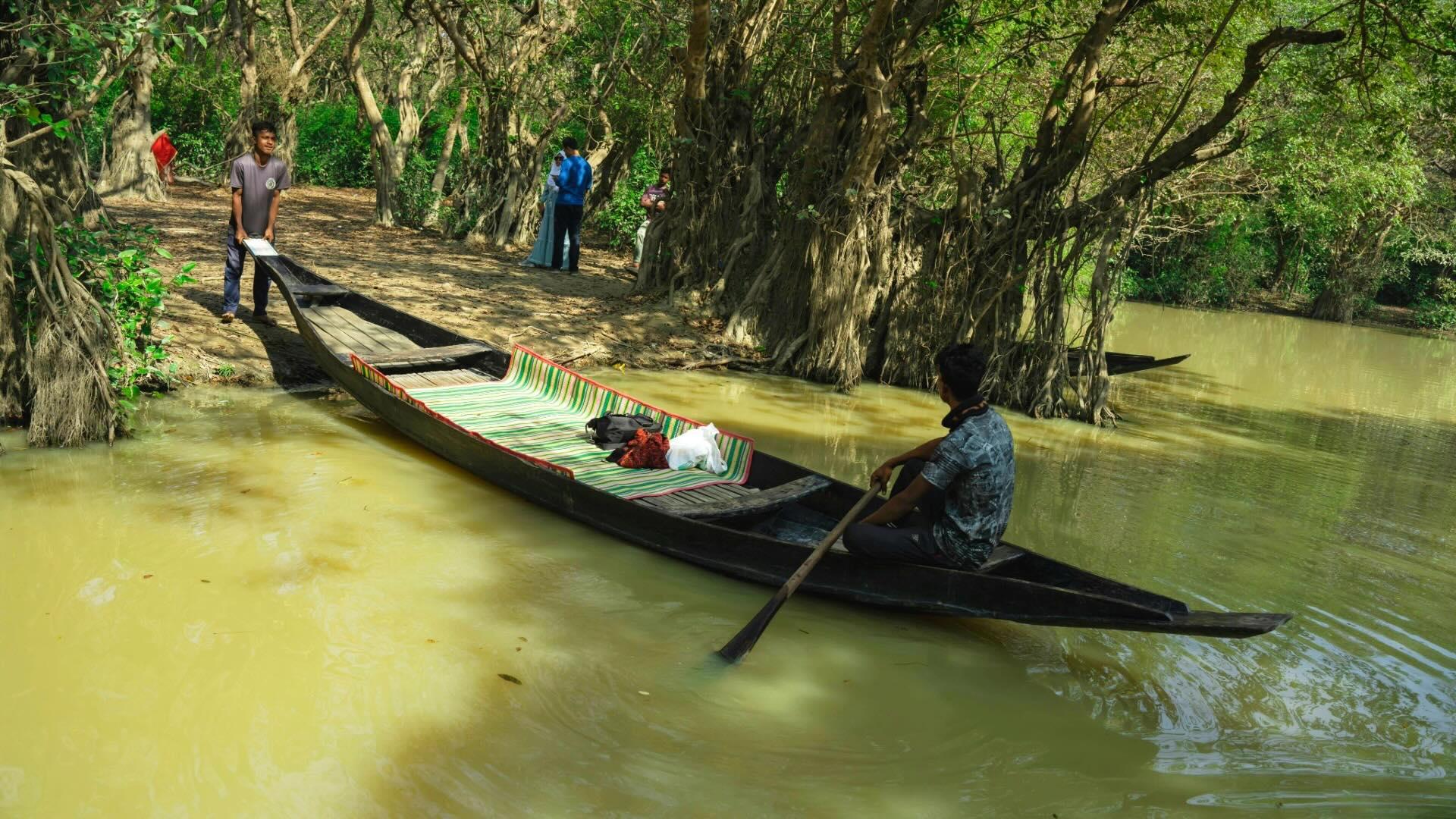 Ratargul Swamp Forest, Gushainpur, Bangladesh