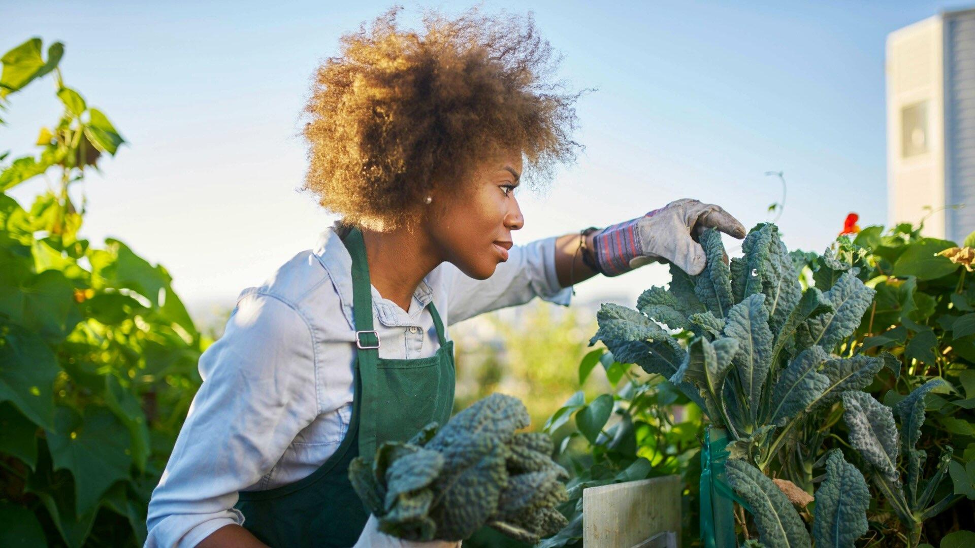 Black female farmer. 