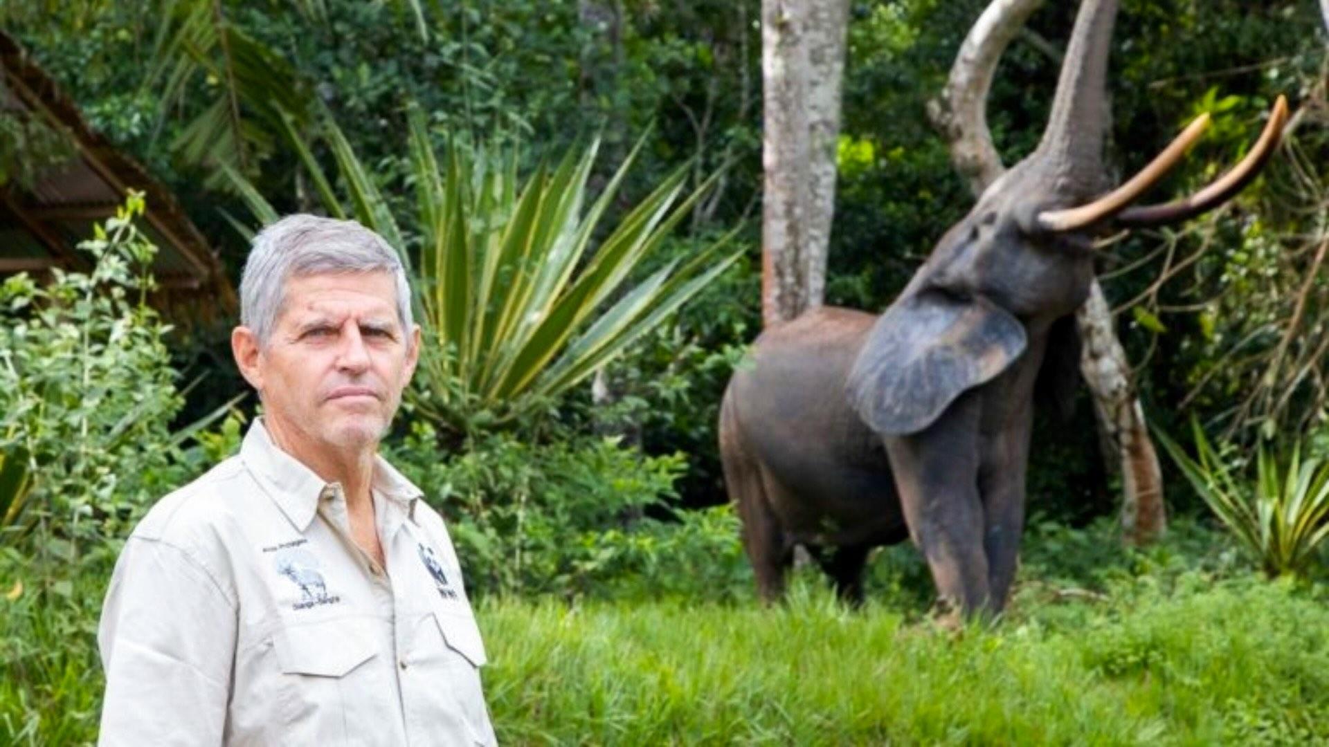 Luis Arranz with an elephant in the background. 