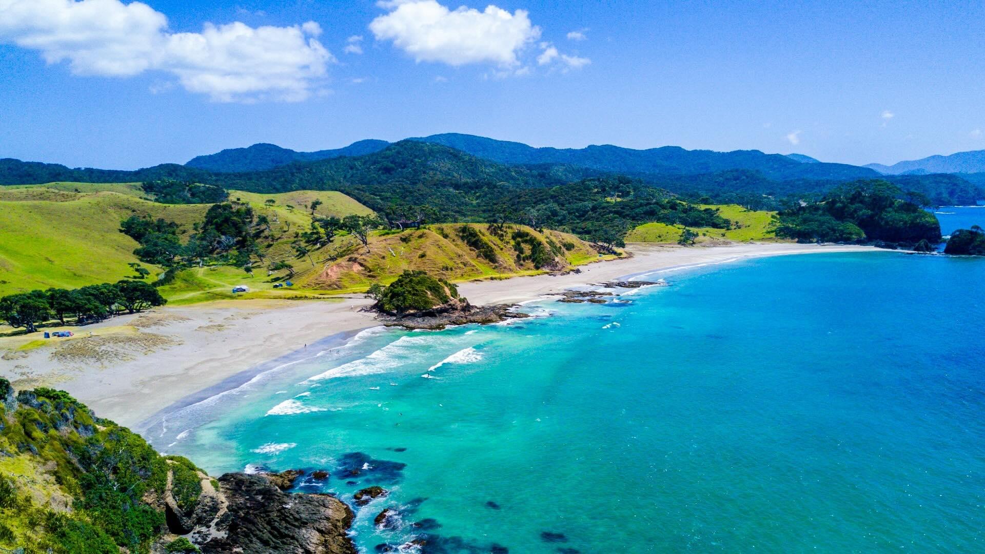 Aerial view of beach/ocean in New Zealand.